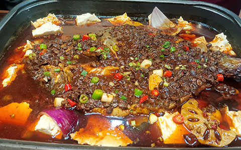 20240314204442.jpg IMG_20230318_115719.jpg