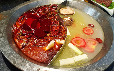 20250408111136.jpg _87a7f979156b1c10865b80981a138224_-450388610_IMG_20230804_170841.jpg