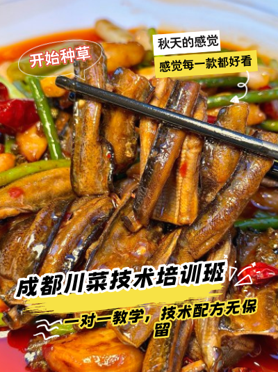 ba901071-cd2b-411d-81d8-f510eaeee525.png