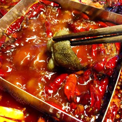 2026年成都厨师培训热门机构深度解析：为什么“蜀味缘”成为火锅创业者的首选？